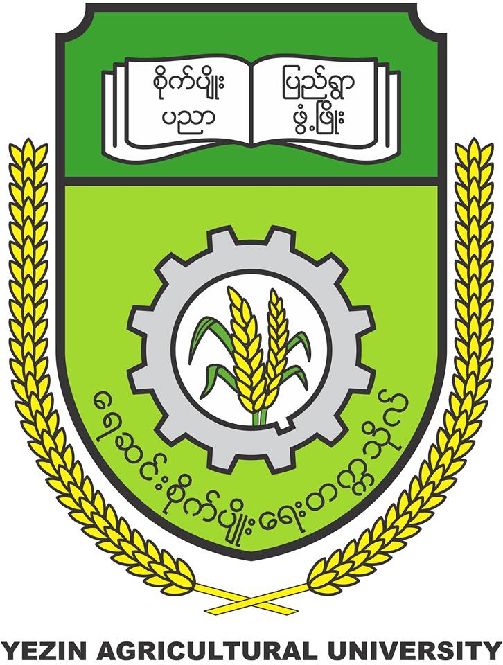 YAU Logo